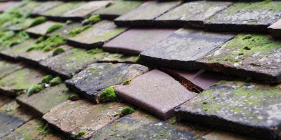 Brentwood roof repair costs